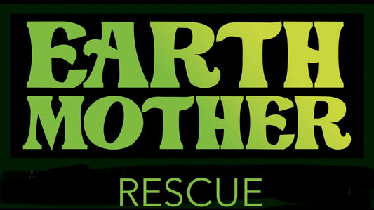 Discover the Art of Compassion: EarthMother Rescue & Outreach